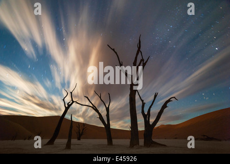 Stars and storm clouds over the dead acacia trees in Dead Vlei.Sossusvlei, Namibia Stock Photo