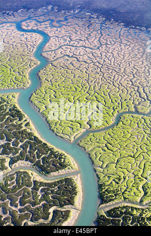 Aerial view of the Bay of Cadiz delta, San Fernando, Cádiz, Spain Stock ...