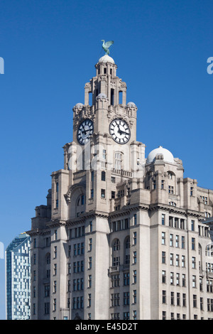 Liver Building on Liverpool's waterfront, showing the clock tower and Liver Birds against a blue sky. Stock Photo