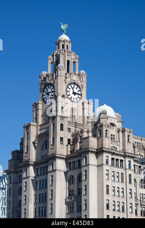 Liver Building on Liverpool's waterfront, showing the clock tower and Liver Birds against a blue sky. Stock Photo