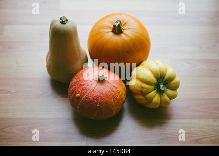 A variety of autumnal pumpkins & squashes ready for carving for Halloween into spooky designs and also for making into soups and casseroles