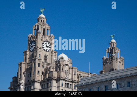 Skyscape of the Liver Building on Liverpool's waterfront, showing the clock tower and Liver Birds against a blue sky. Stock Photo