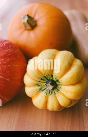 A variety of autumnal pumpkins & squashes ready for carving for Halloween into spooky designs and also for making into soups and casseroles Stock Photo