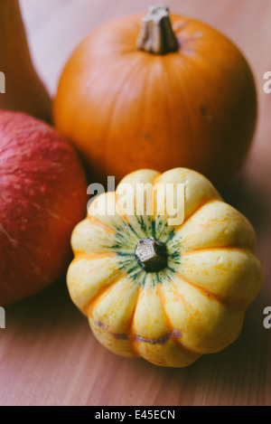 A variety of autumnal pumpkins & squashes ready for carving for Halloween into spooky designs and also for making into soups and casseroles