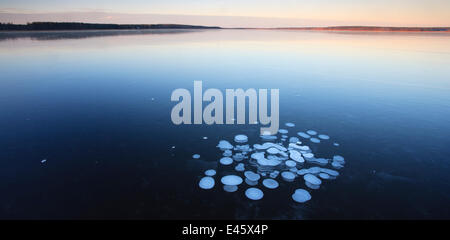 Frozen bubbles captured in ice on the surface of lake. South Estonia, Europe, January 2008. Stock Photo