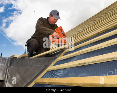 self building house, constructing roof, man fixing roofing laths with paslode nail gun on breathable membrane Stock Photo
