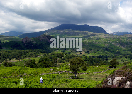 Eskdale with view of Sca Fell and Scafell Pike, Lake District, Cumbria, UK Stock Photo