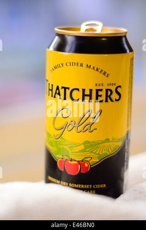 Thatchers Gold cider can Stock Photo