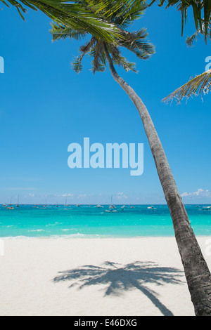 Tropical White Sand Beach with Coconut Palm, Boracay Island, Philippines Stock Photo