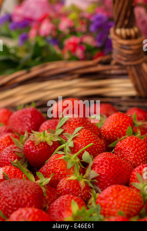 Strawberry fresh organic fruit. Strawberries with leaves on a white ...