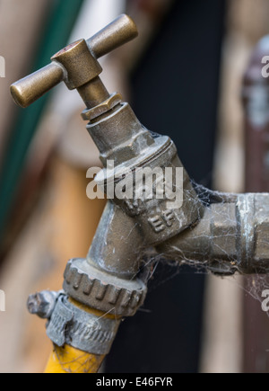 Garden tap with hose attached Stock Photo