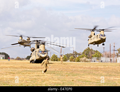 Three US Army Chinook helicopters landing Stock Photo