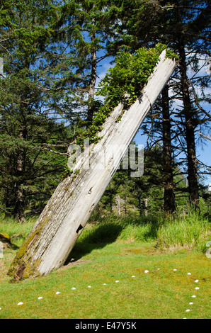 Totems Skedans, K’uuna Llnagaay, ancient first nations village ruins, Graham Island, Haida Gwaii, Queen Charlotte Islands, British Columbia, Canada. Stock Photo