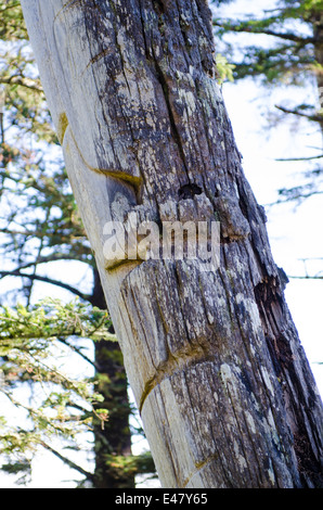 Totems Skedans, K’uuna Llnagaay, ancient first nations village ruins, Graham Island, Haida Gwaii, Queen Charlotte Islands, British Columbia, Canada. Stock Photo