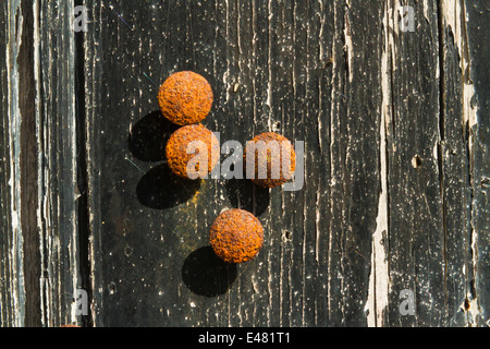 Close-up of black pins, tacks or thumbtacks with metal spiky tip