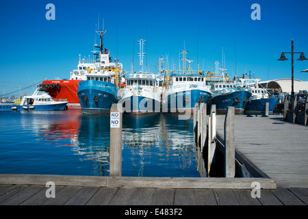 Colourful fishing boats in Fremantle's Fishing Boat Harbour, Western Australia. Stock Photo