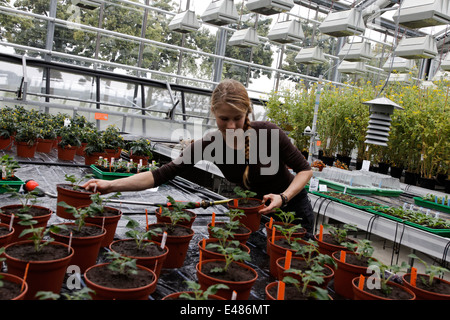 Max Planck Institute for Molecular Plant Physiology Stock Photo