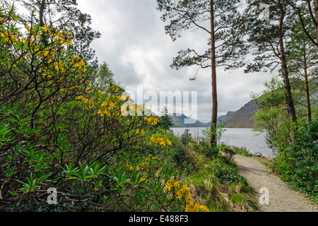 View on Lough Beagh from the garden at Glenveagh Castle, Glenveagh National Park,Churchill, Co. Donegal, Republic of Ireland. Stock Photo