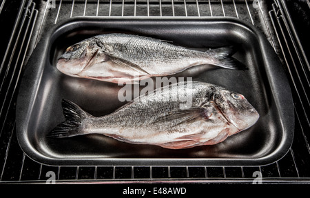 Dorado fish Cooking in the oven. Stock Photo