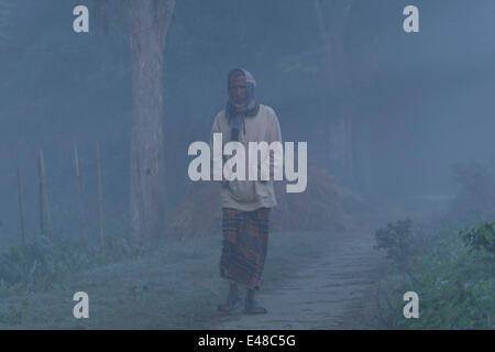 winter in Bangladesh Stock Photo