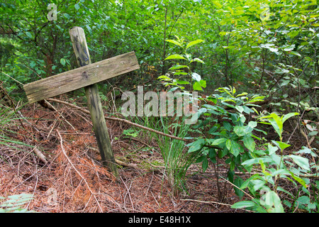 Simple wooden cross on nature grave in the forest Stock Photo