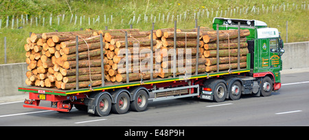 Side view of haulage business hgv lorry truck & driver with articulated flat bed trailer load of cut lengths of tree trunk timber logs on UK motorway Stock Photo