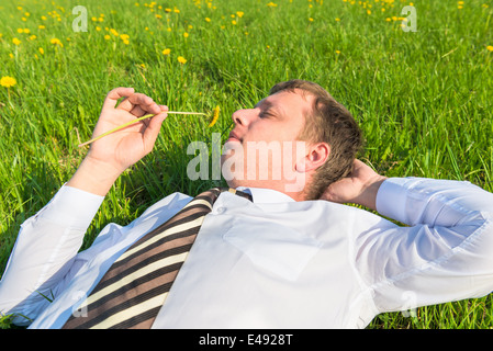businessman lying on the grass and sniffs dandelion Stock Photo