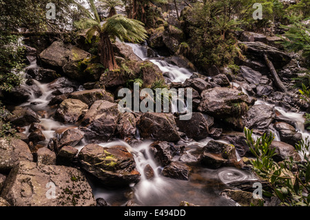 ST COLUMBA FALLS, WATERFALL, ST COLUMBA FALLS STATE RESERVE, PYENGANA VALE, VALLEY, ST HELENS, NORTH EAST TASMANIA, AUSTRALIA Stock Photo