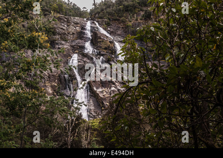 ST COLUMBA FALLS, WATERFALL, ST COLUMBA FALLS STATE RESERVE, PYENGANA VALE, VALLEY, ST HELENS, NORTH EAST TASMANIA, AUSTRALIA Stock Photo