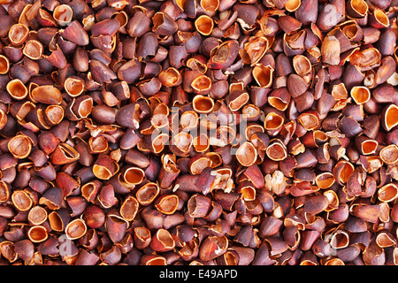 Waste from pne nuts, background Stock Photo