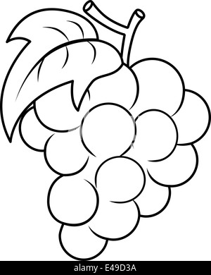 Coloring Book Illustration Featuring the Outlines of a Bunch of Grapes Stock Photo