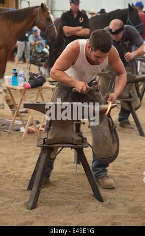 Calgary, Alberta, Canada. 06th July, 2014. Farrier forgeing horse shoe with rounding hammer as he competes in the final round of the World Championships Blacksmiths' competition at the Calgary Stampede on Sunday, July 6, 2014. The top five farriers are competing for the title of world champion in this longstanding tradition at the Stampede. Calgary, Alberta, Canada. Credit:  Rosanne Tackaberry/Alamy Live News Stock Photo
