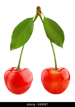 Two perfect sweet cherries with the leaf isolated on a white background Stock Photo
