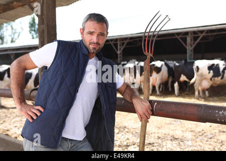 Farmer stood in front of cows Stock Photo - Alamy