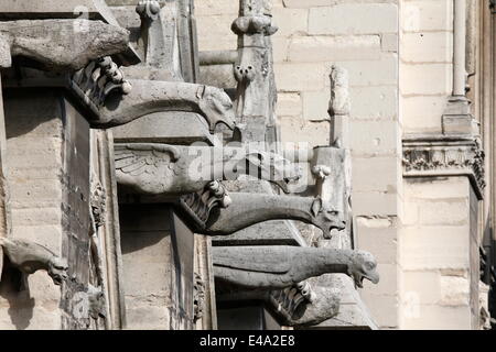 Gargoyles, Notre Dame de Paris cathedral, Paris, France, Europe Stock Photo