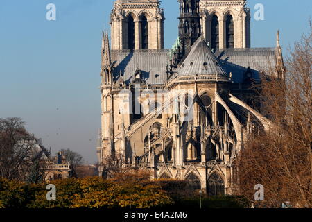 Chevet of Notre Dame Cathedral, Paris, France, Europe Stock Photo