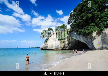 Cave as an entrance to the beautiful Cathedral Cove, Coromandel, North Island, New Zealand, Pacific Stock Photo