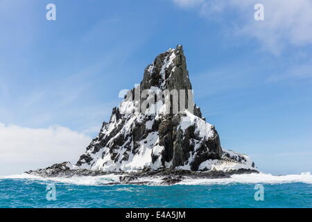 Point Wild, Elephant Island, South Shetland Islands, Antarctica, Polar Regions Stock Photo