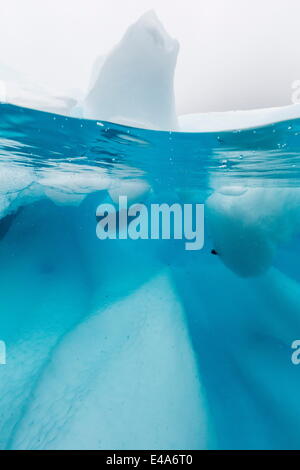 Above and below view of glacial ice in Orne Harbor, Antarctica, Polar Regions Stock Photo