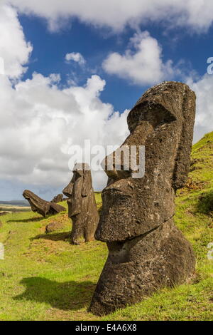 Moai sculptures in various stages of completion at Rano Raraku, Rapa Nui National Park, UNESCO, Easter Island, Chile Stock Photo
