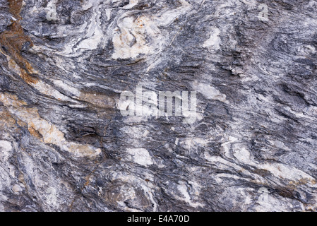 Close up of rock surface, gneiss with white folded quartz veins due to the power of geologic crustal movement Stock Photo
