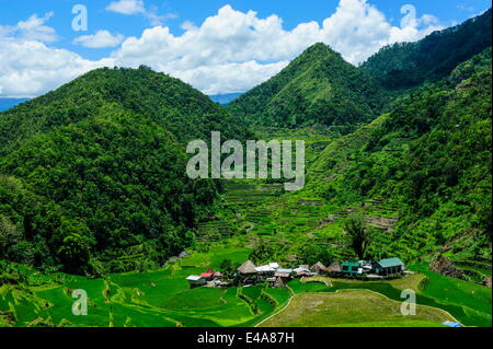 Bangaan in the rice terraces of Banaue, UNESCO World Heritage Site, Northern Luzon, Philippines, Southeast Asia, Asia Stock Photo