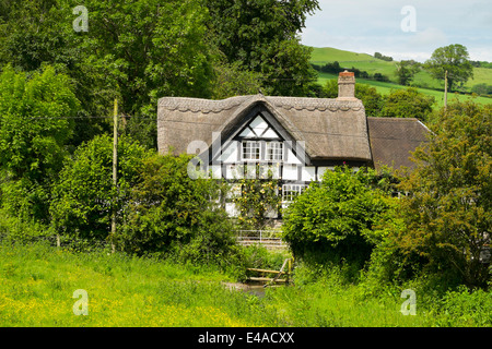 A thatched black and white cottage in the Village of Hopton Castle, South Shropshire, England. Stock Photo