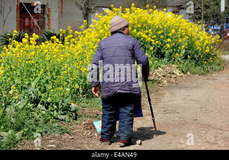 Pengzhou, China: Elderlywoman with bamboo cane walking along dirt country road Stock Photo