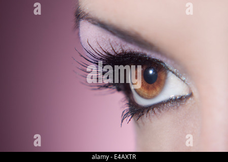 Beautiful woman eye with perfect make up Stock Photo