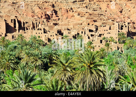 Ait Quaritane,Tinerhir on Wadi,River Todra,Route 703 close to Todra Gorge,Southern Morocco Stock Photo