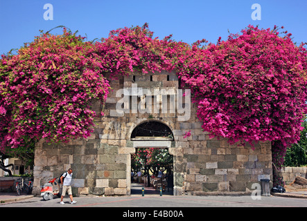 One of the gates of the Ancient city of Kos, leading to the ancient Agora. Kos town, Kos island, Dodecanese, Aegean, Greece Stock Photo