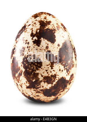 Quail egg isolated on white background cutout. Clipping Path Stock Photo