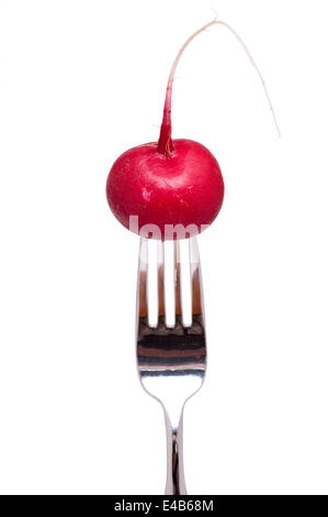 Red radish on a fork Stock Photo