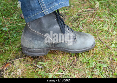 Shoe on green herb Stock Photo